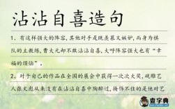 沾沾自喜造句