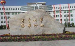 新疆華山中學的升學率如何？有哪些特色活動？