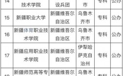 新疆的二本公辦院校有哪些？如何選擇適合的學校？