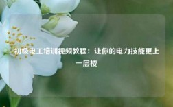 初級電工培訓(xùn)視頻教程：讓你的電力技能更上一層樓