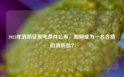 2023年消防證報(bào)考條件公布，如何成為一名合格的消防員？
