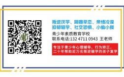 河北唐山初中生10大戒網癮叛逆特訓教育心理疏導學校排名一覽