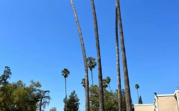 加州理工大學(xué)(Caltech)相當(dāng)于國內(nèi)什么大學(xué)？含金量高嗎？