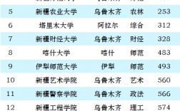 新疆211大學有幾所 最牛的三所