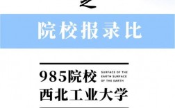 西北工業大學報錄比(考研報錄比查詢網)