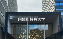 阿姆斯特丹大學相當于國內什么檔次？什么水平？