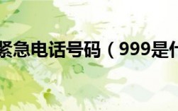 999是什么電話號碼