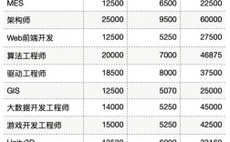 人工智能工程師月薪多少(國(guó)內(nèi)人工智能龍頭公司)
