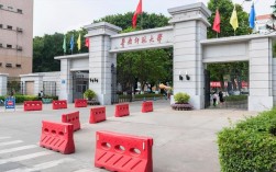 職高考大學(xué)(職高能不能直接考本科)