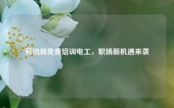 勞動局免費培訓電工，職場新機遇來襲