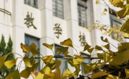 上海專(zhuān)科學(xué)校(上海十大最好的職業(yè)學(xué)校)