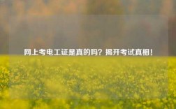 網上考電工證是真的嗎？揭開考試真相！