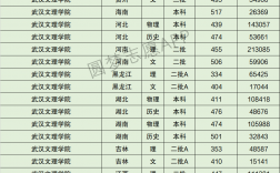 2024年武漢文理學院分數線