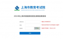 上海市教育考試院官網(wǎng)入口（https://www.shmeea.edu.cn）