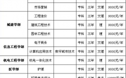 武漢科技大學城市學院學費