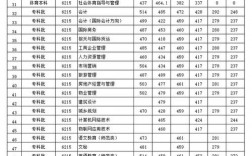 2024年河南財政金融學院錄取分數線