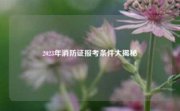 2023年消防證報(bào)考條件大揭秘