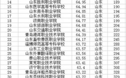 山東職業學院排名(山東十大最好的職業院校)
