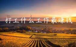 打工什么工作最賺錢(打工干什么行業(yè)最好)