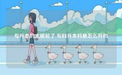 專升本的太尷尬了 專科升本科是怎么升的
