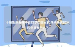 十堰叛逆期孩子管教學校哪里有,孩子叛逆的原因到底是什么？