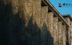 湖北大學藝術學院