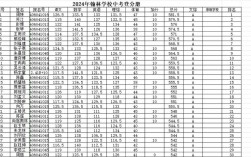 中考全縣排名成績怎么查
