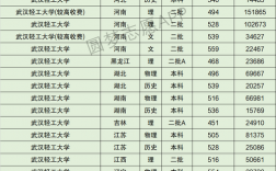 武漢輕工大學藝術生錄取分數線