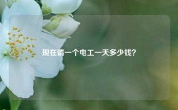 現在請一個電工一天多少錢？