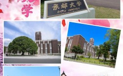 京都大學相當于國內哪所大學