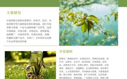 市場營銷屬于經濟類還是管理類