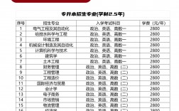函授比較實用的專業(yè)(函授本科什么專業(yè)好就業(yè))