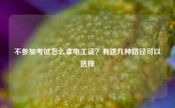不參加考試怎么拿電工證？有這幾種路徑可以選擇