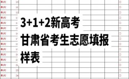 甘肅省高考志愿填報模板