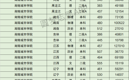 2024年湖南城市學院排名