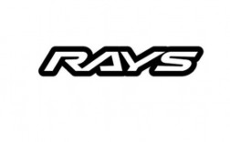 ray英文名