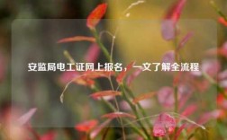 安監(jiān)局電工證網(wǎng)上報名，一文了解全流程