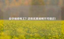 自學(xué)維修電工？這些優(yōu)質(zhì)視頻不可錯(cuò)過！