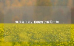 低壓電工證，你需要了解的一切