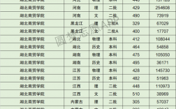 2024年湖北商貿學院專科分數線