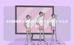 卡內(nèi)基梅隆大學(xué)相當(dāng)于國(guó)內(nèi)什么檔次？什么水平？