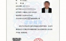 安全b證查詢
