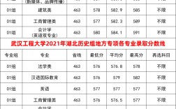 2024年武漢工程學(xué)院專科分?jǐn)?shù)線