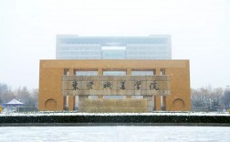 東營職業學院怎么樣(山東十大最好的職業院校)