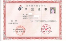 廣東專接本(2024年廣東專升本學(xué)校)