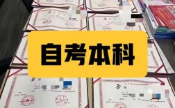 初中畢業可以直接自考大專嗎