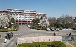 山東科技大學泰安校區怎么樣