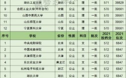 570分左右的一本大學(大學排名)
