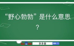 野心勃勃的意思