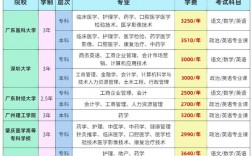 廣東成人高考可以考哪些專業(廣東成考學校有哪些)